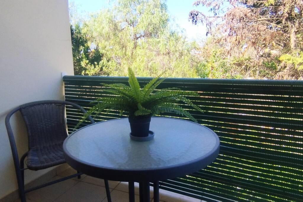 Apartment Sweet Amoreira Alvor
